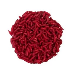 ASTICOTS GOZZERS RUBIS