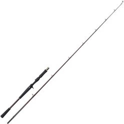 CANNE CASTING WESTIN W6 JERKBAIT-T