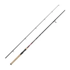 CANNE SPINNING BERKLEY CHERRYWOOD SPEZI EEL ROD