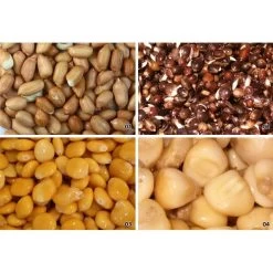 GRAINE SECHE NATURAL BAITS